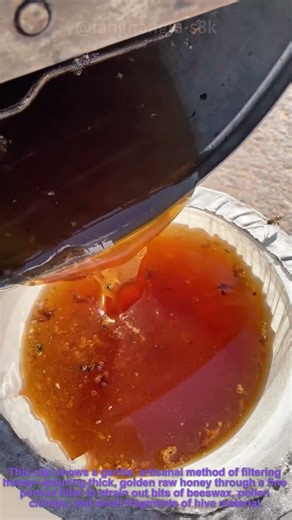 Raw Honey Filtering | Artisanal Beekeeping Craft