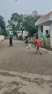 #dogrescue #rescuedogs #adoptdontshop #doglovers #pawrescue #dogadoption #dogrescueteam #animalrescue #saveadog #dogsaviors #fureverhome #rescueismyfavoritebreed #dogloversofinstagram #dogsofinstagram #petrescue #doglife #heartofrescue #straydogs #helpushelpthem #gooddog #dogsinneed #shelterdogs #lovearescue #dogsofinsta #secondchance #rescuepaw #adoptme #helprescuedogs #pawtastic #rescuedogsrock | Dog rescue team