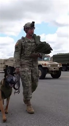 This Dog Locks In Over a US Airbase