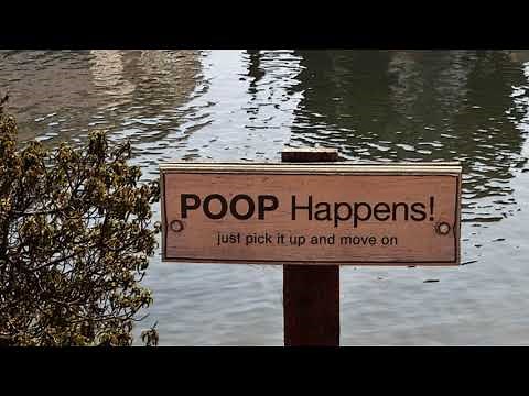 Why I Am Pooping Water