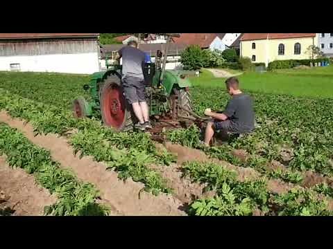 Kartoffeln anhäufeln 2021 mit Deutz 4005 und Rau Kombi