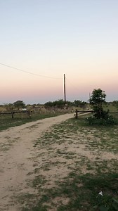 Our kind of zebra crossing in the African bush!😍🦓 An evening game drive never fails to surprise us with these kind of amazing wildlife encounters. Truly incredible 🙌 | Antelope Park