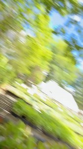 65K views · 1.4K reactions | 塞 Think lettuce is boring? Switch it up...