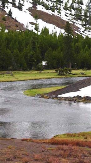 4.6K views · 12 reactions | Tools for stress, sleep, and more — right in your pocket. | Headspace | Facebook