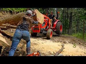 Another Day, Another Massive Log!