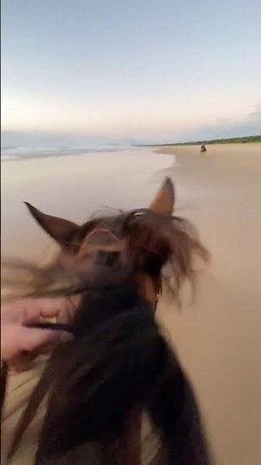 Can you see the moment Willow turns it up a notch? #gallop #horseriding