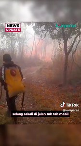 Kebakaran hutan melanda kawasan Taman Nasional Gunung Ciremai (TNGC) di Desa Singkup, Kecamatan Pasawahan, Kabupaten Kuningan, Jawa Barat, sejak Senin (7/9) siang. Titik api pertama terlihat sekitar pukul 14.00 WIB di Blok Cileutik. Api kemudian merembet ke Blok Cimaung dan Blok Manguntapa. Hingga Selasa (8/9), petugas gabungan masih melakukan pemadaman. Pemadaman melibatkan Balai TNGC, BPBD Kuningan, Masyarakat Peduli Api (MPA), Paguyuban Silihwangi Ciayumajakuning, TNI, Polri, dan warga. Petug
