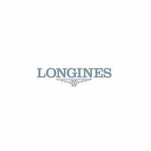 LONGINES SECTOR DIAL Automatic, Stainless Steel, Black Dial, Strap Watch | LONGINES US