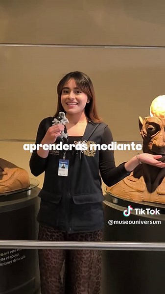 En la Semana del Cerebro de Universum te esperan talleres, juegos y charlas que activarán cada rincón de tu mente🧩 🧠 Del 18 al 22 de marzo ven a descubrir cómo funciona tu universo interior: https://bit.ly/4rDiXJt #DespiertaTusNeuronas #SemanaDelCerebro #Universum #cienciaentiktok
