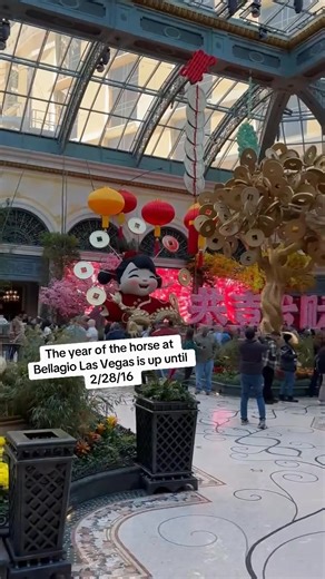 The spring display opens 3/7! | Las Vegas