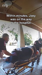 597K views · 7.5K reactions | With the help of a Ring notification, Joey's life was saved! ❤️ | Ring | Facebook