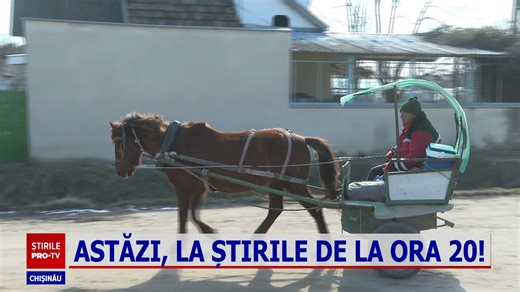 Lecție de empatie. Un bărbat din Lăpușna, Hîncești, de 6 ani își ia căruța și în fiecare zi livrează prânzuri calde bătrânilor singuri din localitate. Căruțașul este așteptat de vârstnicii cărora le mai dă o mână de ajutor și mai schimbă o vorbă. Bărbatul face echipă cu iapa sa, pe nume Vica. Aflați povestea lor, astăzi, la știrile Pro Tv de la ora 20:00. | ProTV Chişinău