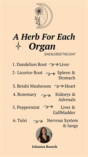 Your organs are always communicating with you, long before symptoms appear. Each herb on this list supports an emotional pattern connected to its organ. When you nourish the organ, you help release the stored emotion behind the imbalance. This is the foundation of the Emotional Response Method®: Support the body. Decode the emotion. Restore the frequency. #emotions #herbal #food | Healers of the Light