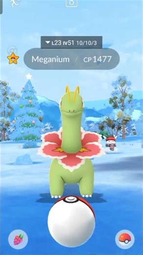 catch main evolution Pokemon