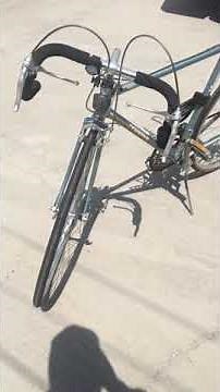 1985 Schwinn World Sport