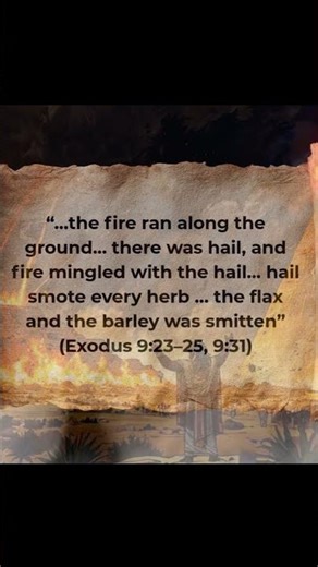 7 The Ipuwer Papyrus – An Egyptian Witness to the Exodus?