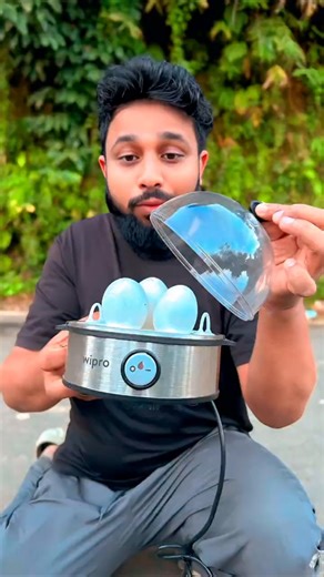 electric egg boiler testing