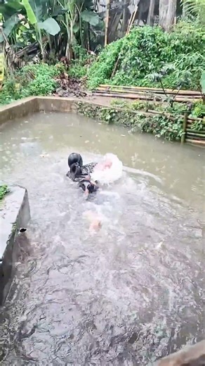 Bathing in a Stream Inside My House! 🏡💦 #Shorts
