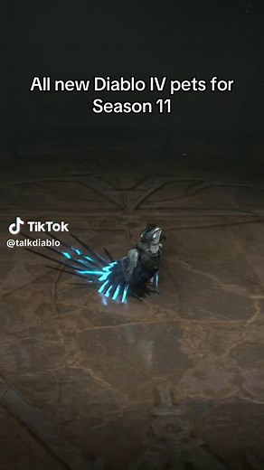 All New Diablo IV Pets for Season 11 Revealed