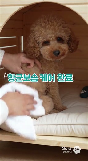 애완동물 퓨어오투 사용 이산화염소 Pure O2 wwww.pureclo2.co.kr chlorine dioxide ClO2