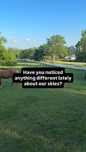 Anyone else noticed this..? 🤔 | Austin Lake