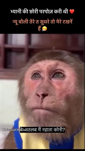 Bhiwani Official | check story 🤣 भयानी आली भी जम्मा उत्त हो ली @bhiwaniofficials . . hr16 bhiwani bwn haryana Aurangnagar Baliali Barsi Bohal Jamalpur... | Instagram