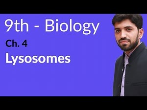 9th Class Biology | Chapter 4 | Lysosomes