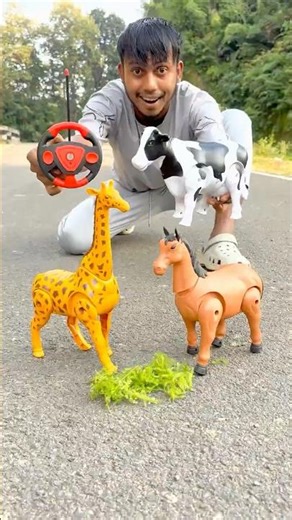 Rc Giraffe, Horse and cow Testing 🦒🐎🐄🔥