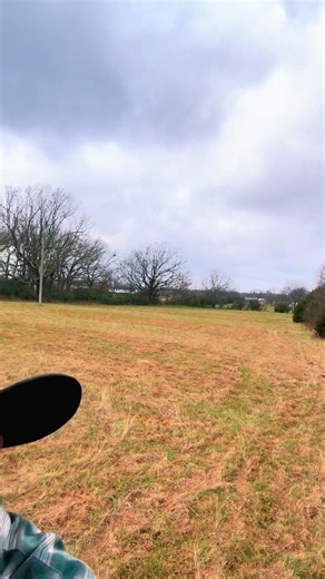 Finding Peace Through Tennessee Walking Horses