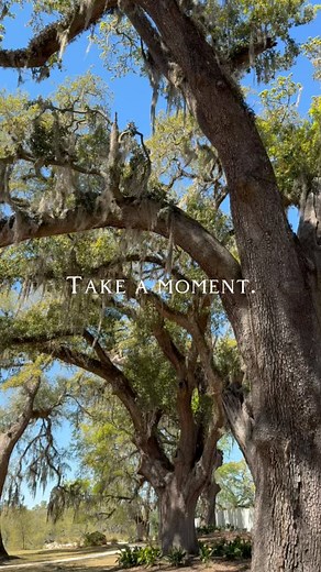 Wander into something unexpected. Bainbridge is full of slow, joyful moments. Where’s your favorite place to pause?” 🌾🍃💛 | Visit Bainbridge, GA