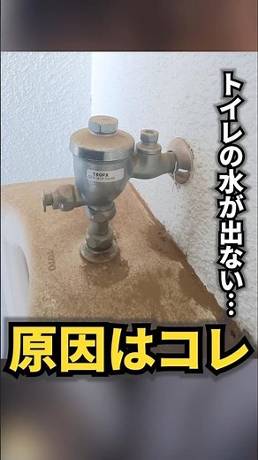 [Toilet Won't Flush!] That problem might be fixed by replacing a part🚽 #ToiletRepair #NoWater #Ha...
