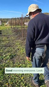 10K views · 108 reactions | Mick is back this week with an update on our winter crops and plans for the farm's other beds! | The Diggers Club | Facebook