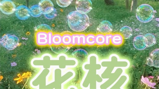 美学词条Vol.23：Bloomcore花核