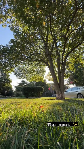 3.7K views · 30 reactions | Rachel took Camp Joy on a lil picnic which just proves anything outside with snacks is considered camping! Get your copy of CAMP JOY right here: https://shop.joythebaker.com/products/camp-joy | Joy the Baker | Facebook