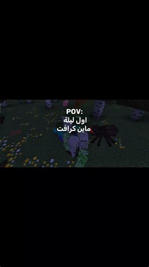 أول ليلة في ماين كرافت 😂🗿 #ميمز #ماين_كرافت #minecraft #memes