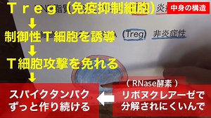 【字幕付き短縮版】鹿先生「mRNAワクチンメーカーの企み」@kinoshitayakuhi