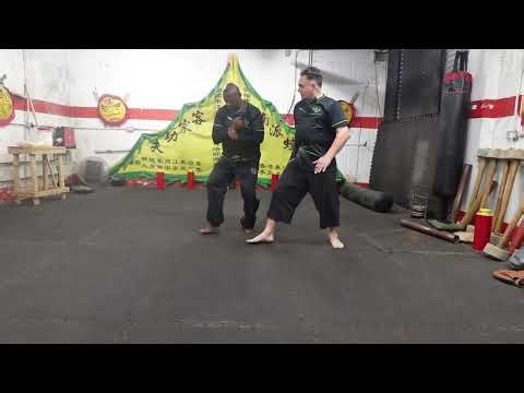 Application of Shaking the Bridge Chow Gar Mantis