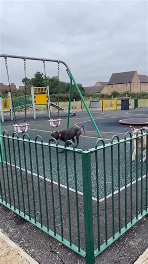 Yeah I’m gone 💯 | Carnell Nichols Jr.