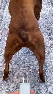 45M views · 149K reactions | Plugged In and Ready to Go!  When your...