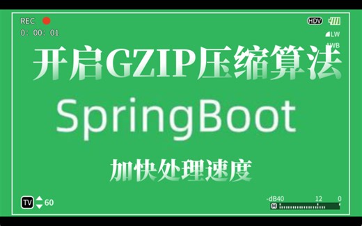 SpringBoot3.0开启底层GZIP压缩算法加快服务传输速度