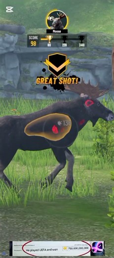 Animals Shooter Gun | Wild Animal Hunting Game