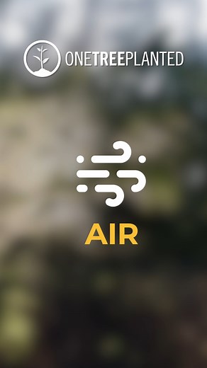 32 reactions · 3 comments | Curious about how trees benefit people and the planet? Take a deep breath, some of that air you just inhaled has been cleaned by trees!  Trees help the world in many ways, they...  Create Habitats for Wildlife  Filter Water 欄 Improve Communities  Clean the Air  Sequester carbon Join us in making a lasting impact - plant a tree today!  #airquality #envrionment #treebenifits #treestagram | One Tree Planted | Facebook