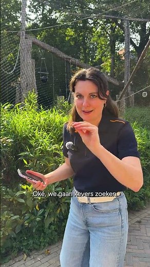 🐞 INSECTEN ZOEKEN & IDENTIFICEREN | Tips om genieten van de natuur nog leuker te maken!