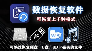 功能强大且易用的数据恢复软件，支持从硬盘、U 盘、内存卡等各类存储设备中恢复超过1000种格式的文件！