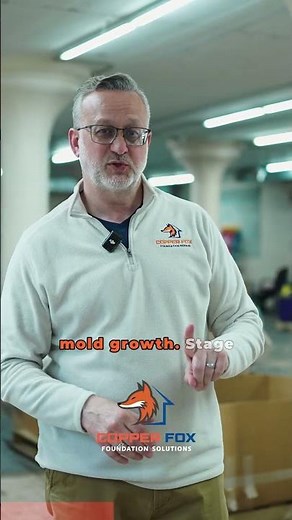 Comprehensive Mold Inspection Procedure - CopperFox Foundation Solutions
