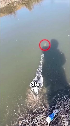 Rakete vs. Eis… Wer gewinnt 🤯