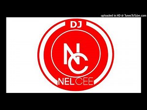 Dlala Thukzin ft Zaba & Sykes - IPlan ( Dj Nelcee Amapiano remix)