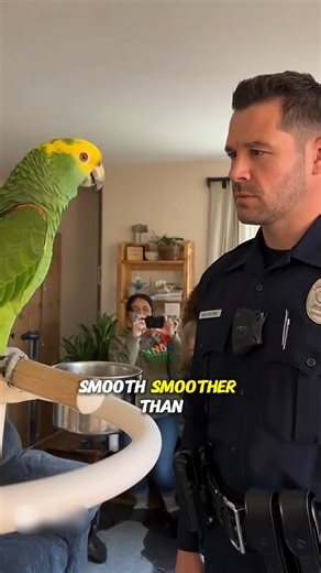 Talking parrots having fun with cops 😎📢 #talkingparrot #funnyparrot | Doodle the parrot