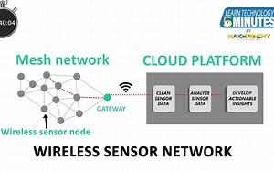 What is a Wireless Sensor Network_ (2020) _ Learn Technology in 5 Minutes