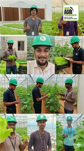 ✅ 𝐎𝐮𝐫 𝐇𝐞𝐚𝐥𝐭𝐡𝐲 𝐂𝐮𝐜𝐮𝐦𝐛𝐞𝐫𝐬 𝐆𝐫𝐨𝐰 @ 𝐃𝟐 𝐅𝐚𝐫𝐦 🌱🥒